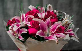 Lily