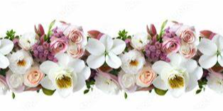 Spring Collecter